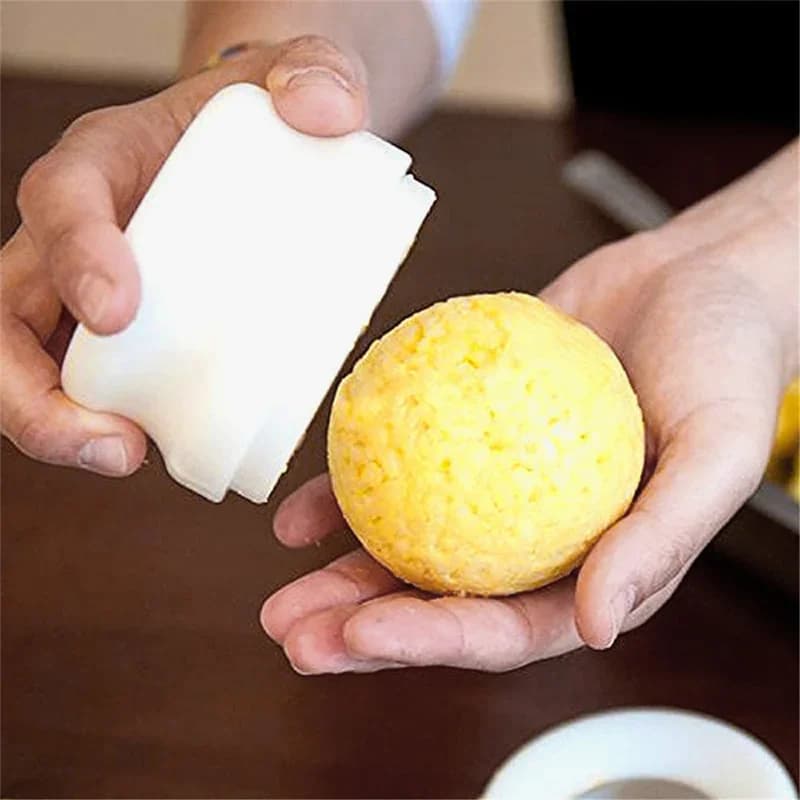PGY Arancini Yapıcı Pirinç Topu ve Suşi Kalıbı